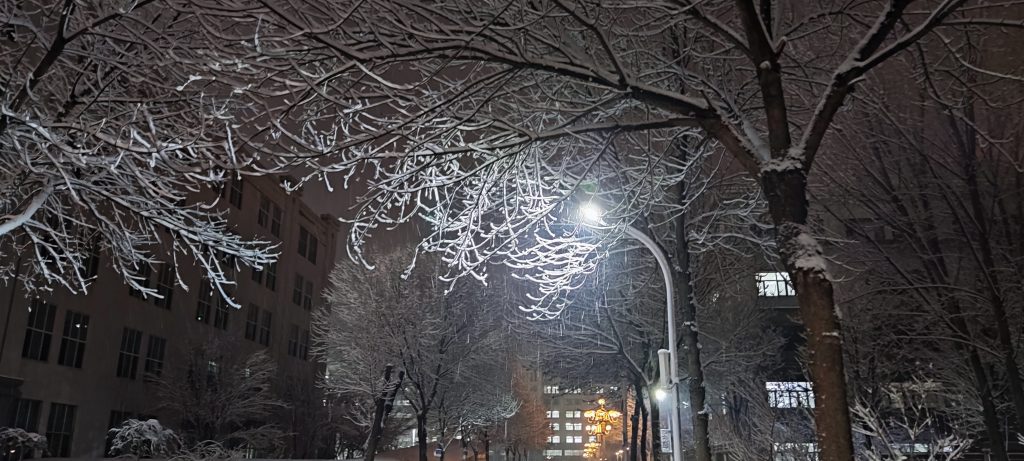 图片[2]-【编译原理】S语言词法分析器设计-附雪景图-北冥博客