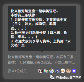 图片[3]-WriteBug数字空间顶级圈主修炼手册-北冥博客