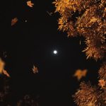 用户1111111的头像-北冥博客